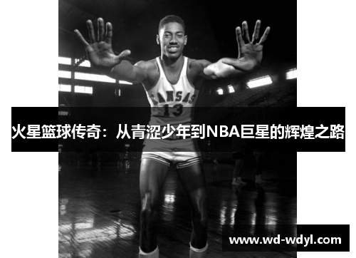 火星篮球传奇：从青涩少年到NBA巨星的辉煌之路